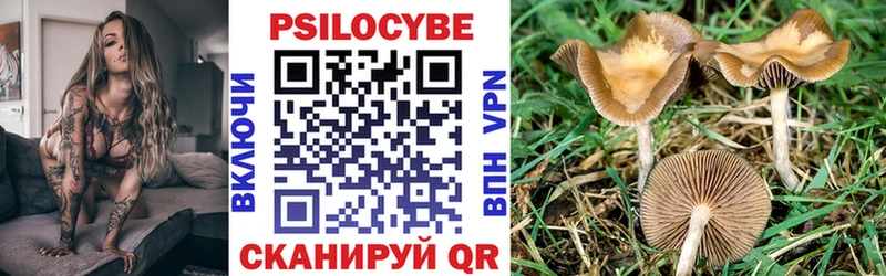 Галлюциногенные грибы мухоморы Чулым