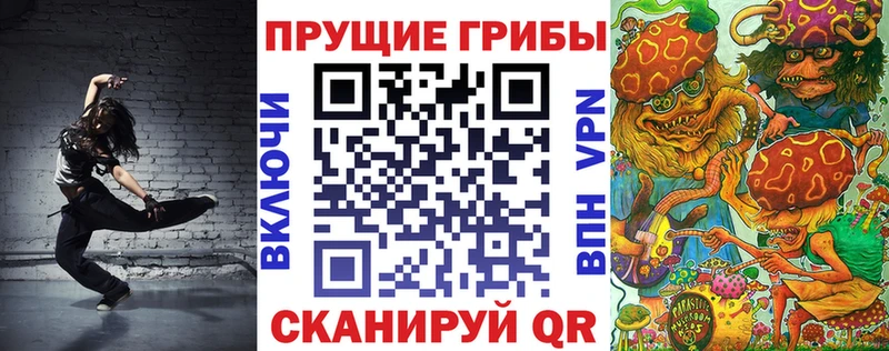 ссылка на мегу ТОР  наркота  Чулым  Псилоцибиновые грибы Cubensis 